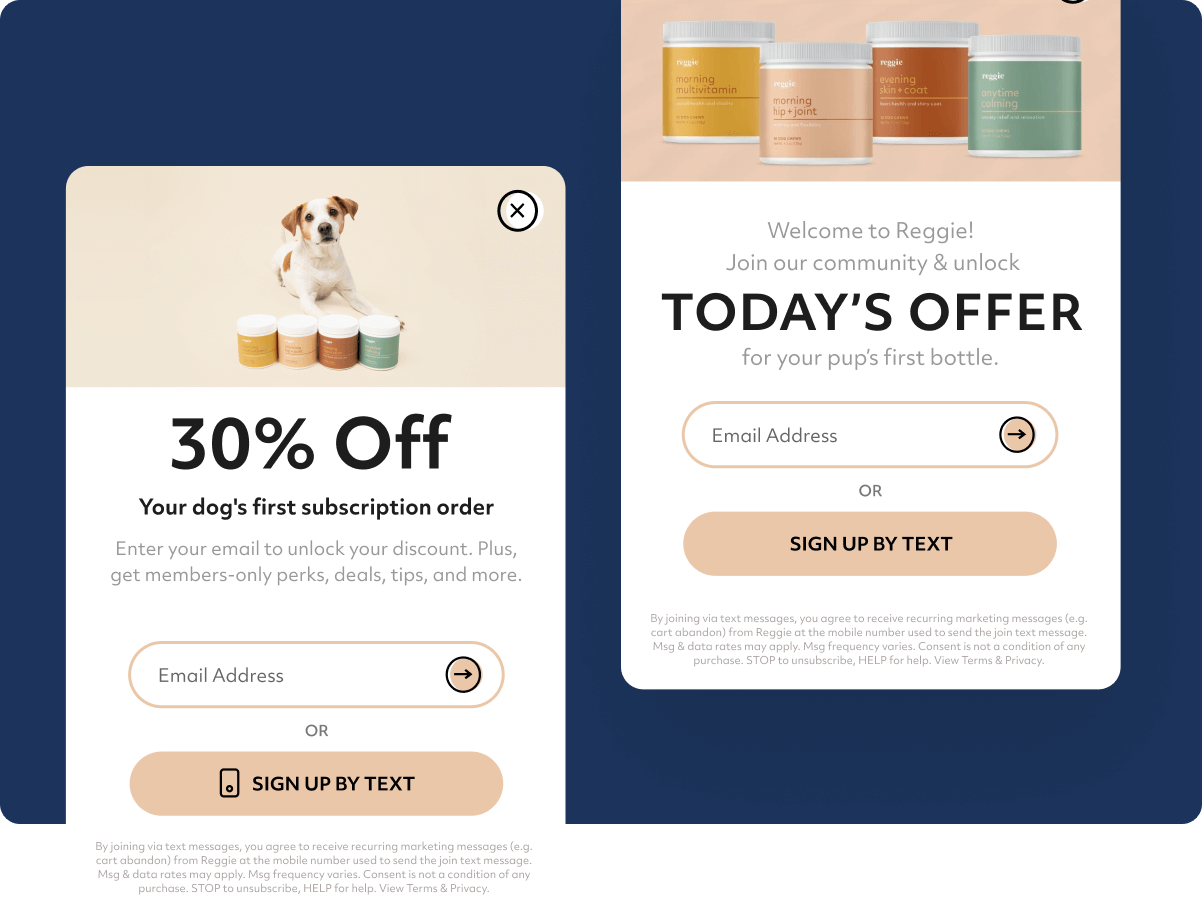 Messaging: Our D2C Creatives Craft Your Copy